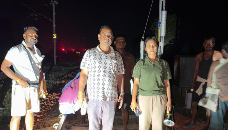 Wild Elephants Rule the Railway Tracks